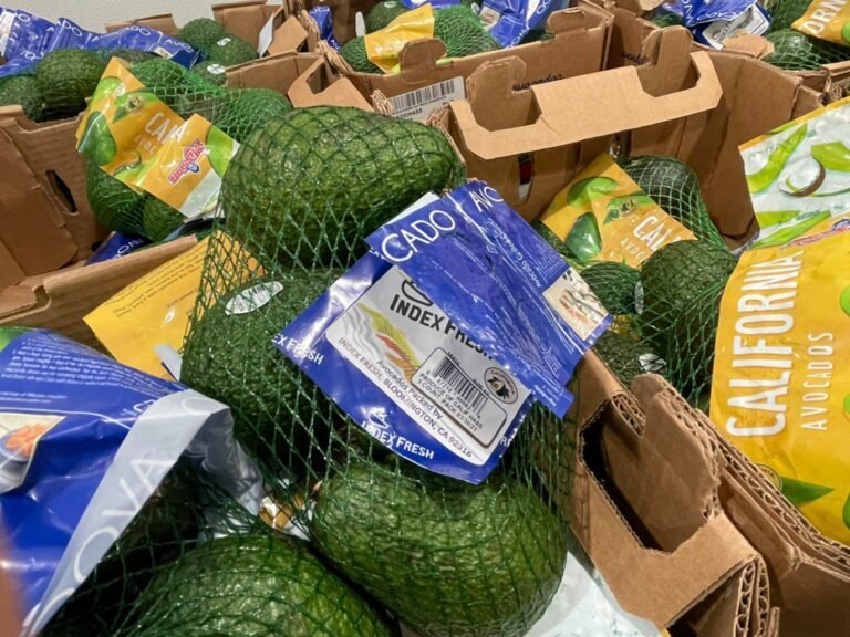 空運美國酪梨1.3Kg #147019