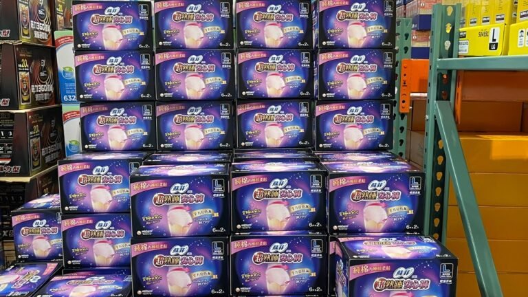 SOFY蘇菲超熟睡安心褲L號 #134642