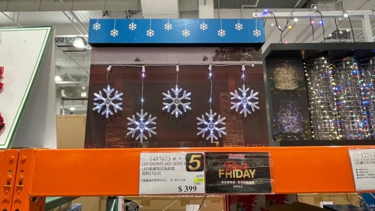 LED聖誕雪花裝飾燈 #1487673