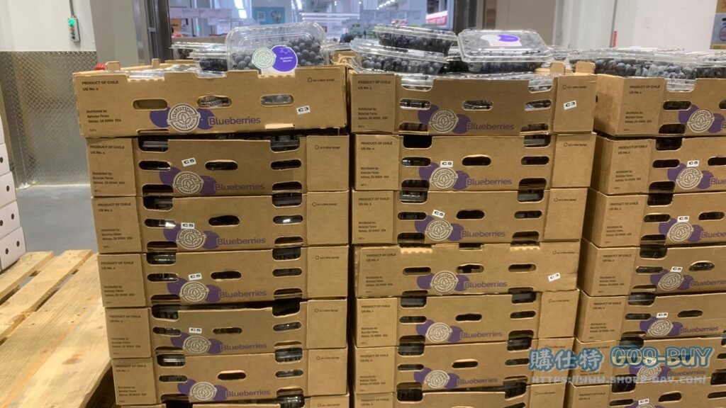 Costco好市多空運智利藍莓 510公克