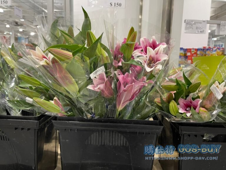 LILY GROWERS BUNCH 百合花束 #116133