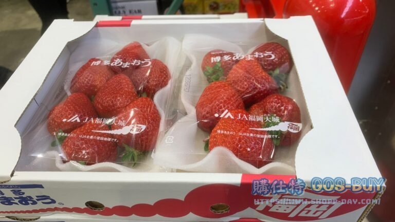 空運日本草莓520公克#280423