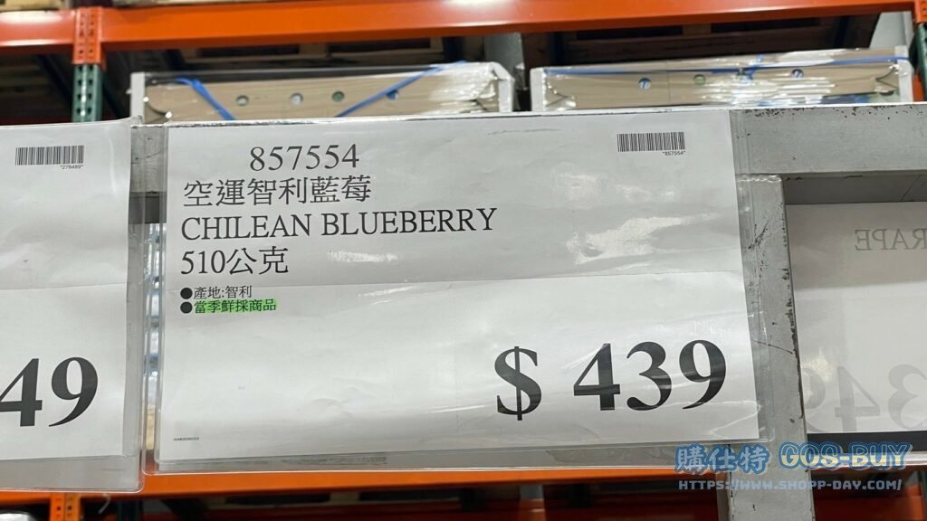 空運智利藍莓 510公克 #857554