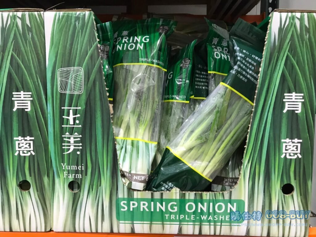 SPRING ONION 生蔥 600公克 #807004