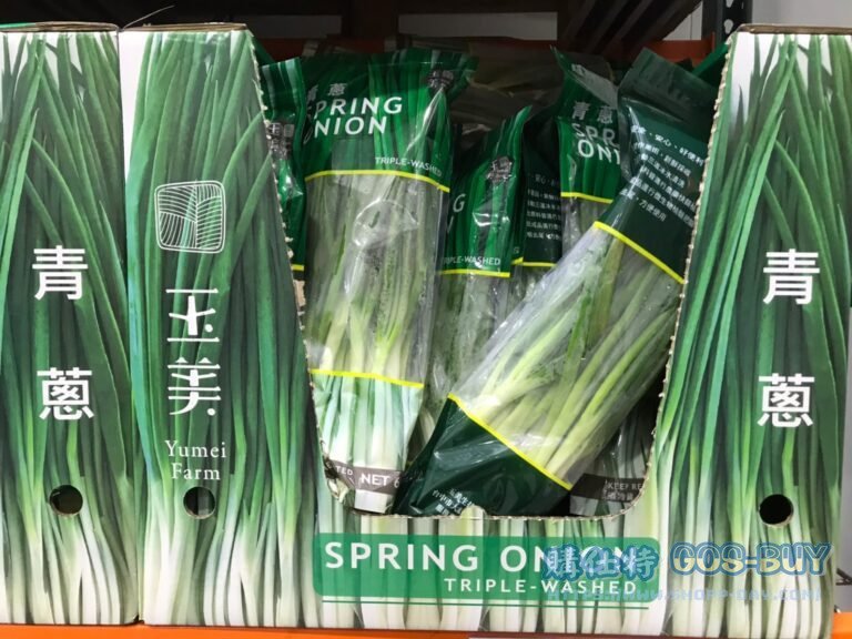 SPRING ONION 生蔥 600公克 #807004