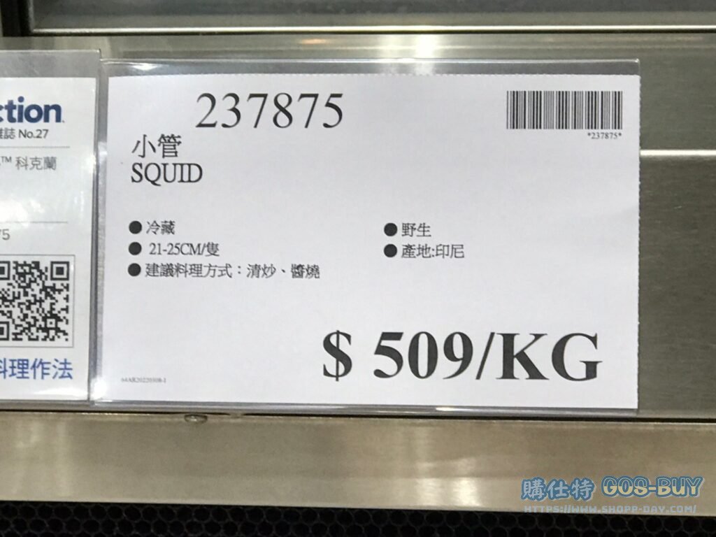 SQUID 小管 #237875