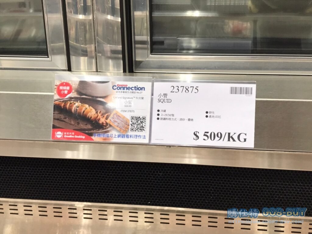 SQUID 小管 #237875