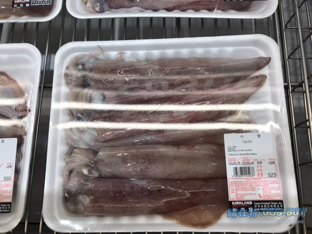 SQUID 小管 #237875