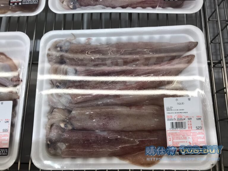 SQUID 小管 #237875