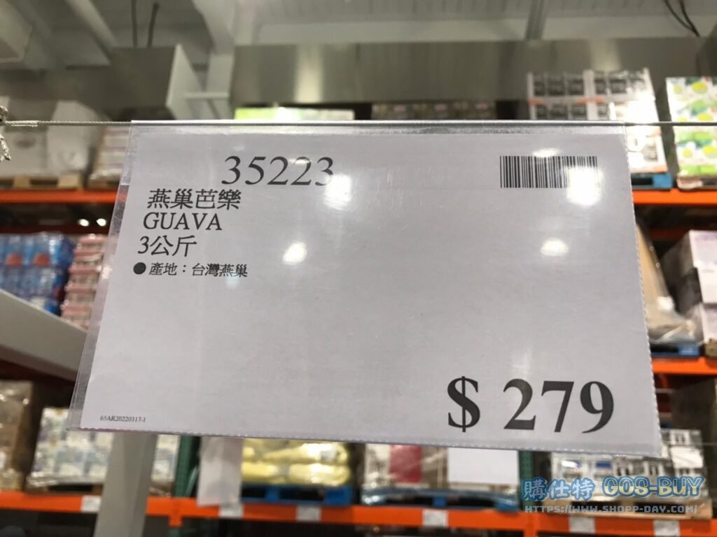 GUAVA 燕巢芭樂 3公斤 #35223