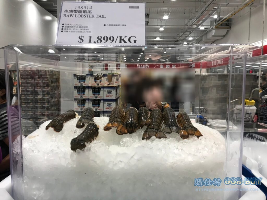 RAW LOBSTER TALL 生凍敖龍蝦尾 #198514