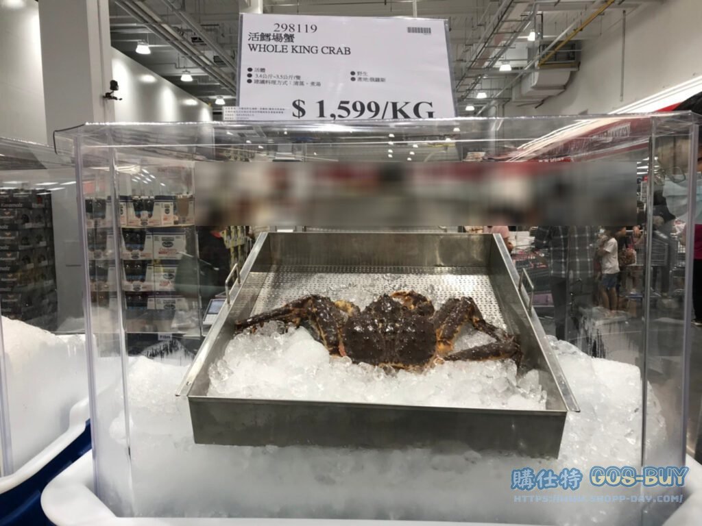 WHOLE KING CRAB 活鱈場蟹 #298119