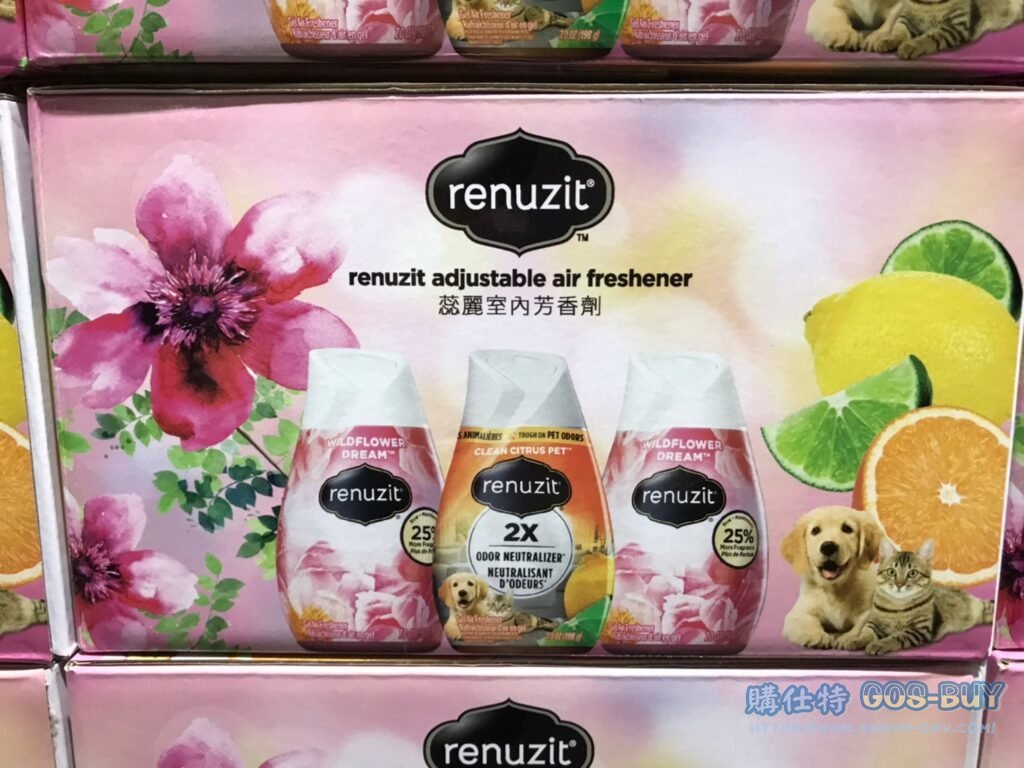 RENUZIT AIR CARE 蕊麗果凍狀室內空氣芳香劑 198公克 X 9入 #205818