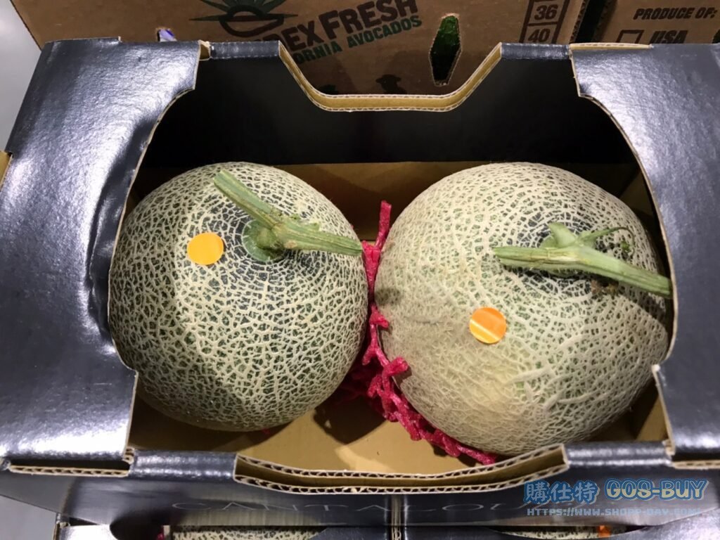 CANTALOUPE 網狀哈密瓜3公斤/2入 #86211