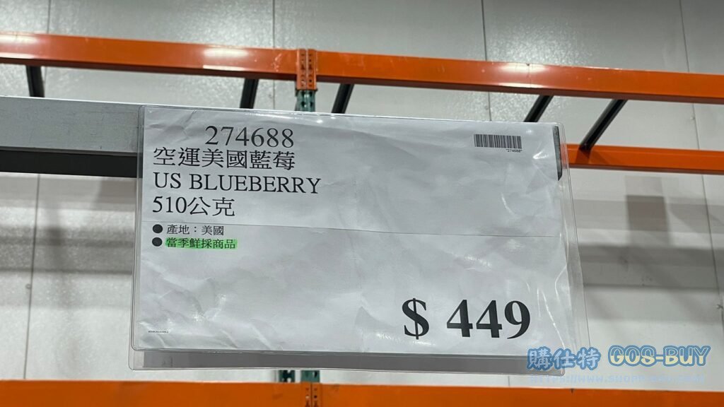 US BLUEBERRY 空運美國藍莓 510公克 #274688