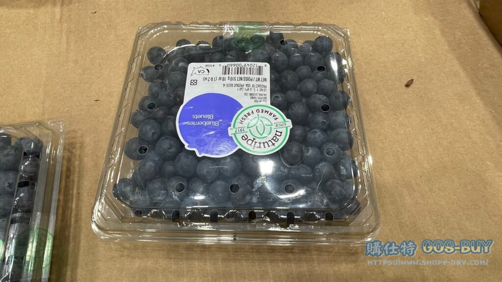 US BLUEBERRY 空運美國藍莓 510公克 #274688