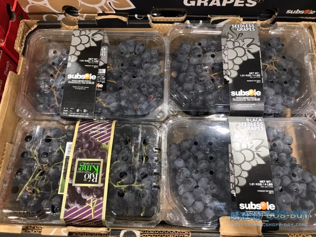 CH BLACK SEEDLESS GRAPE 智利無籽黑葡萄 1.8公斤 #126038
