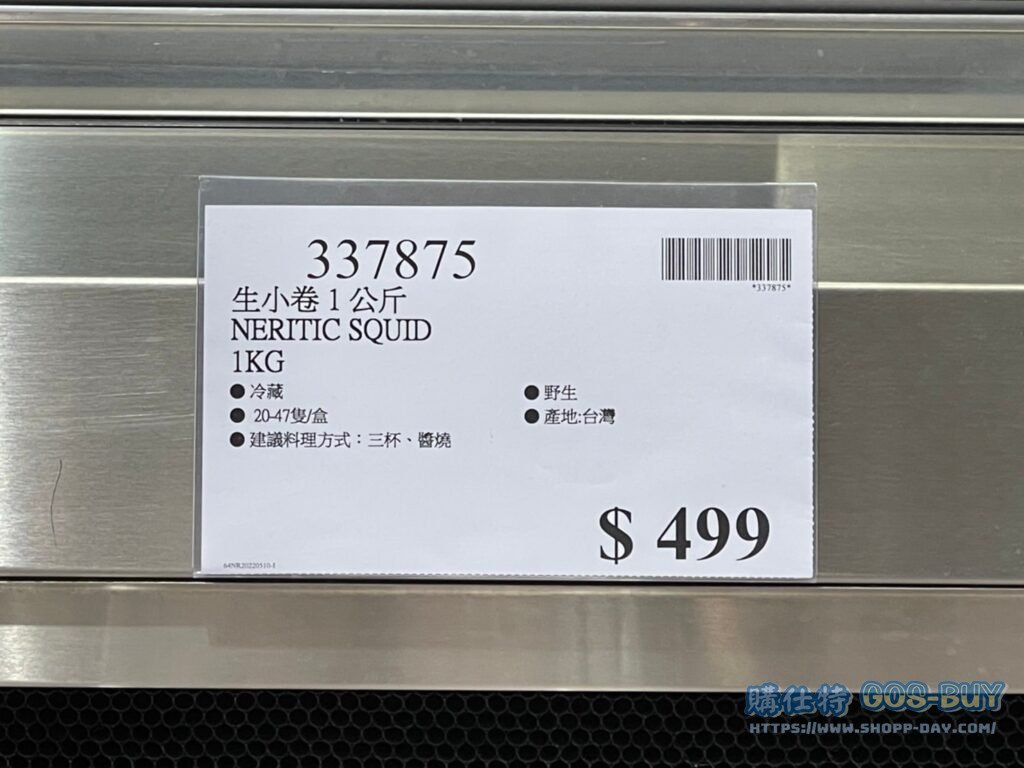 NERITIC SQUID 生小卷 1公斤 #337875