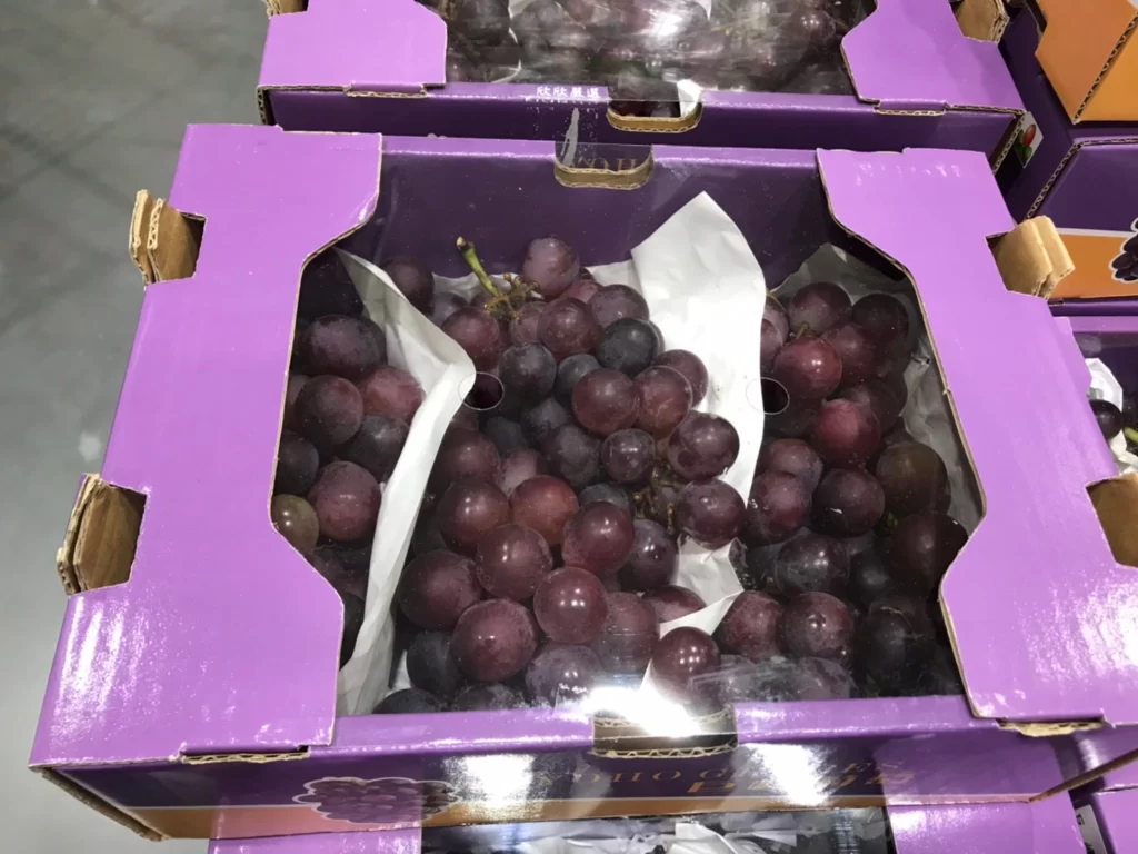 Costco好市多特級巨峰葡萄2公斤
