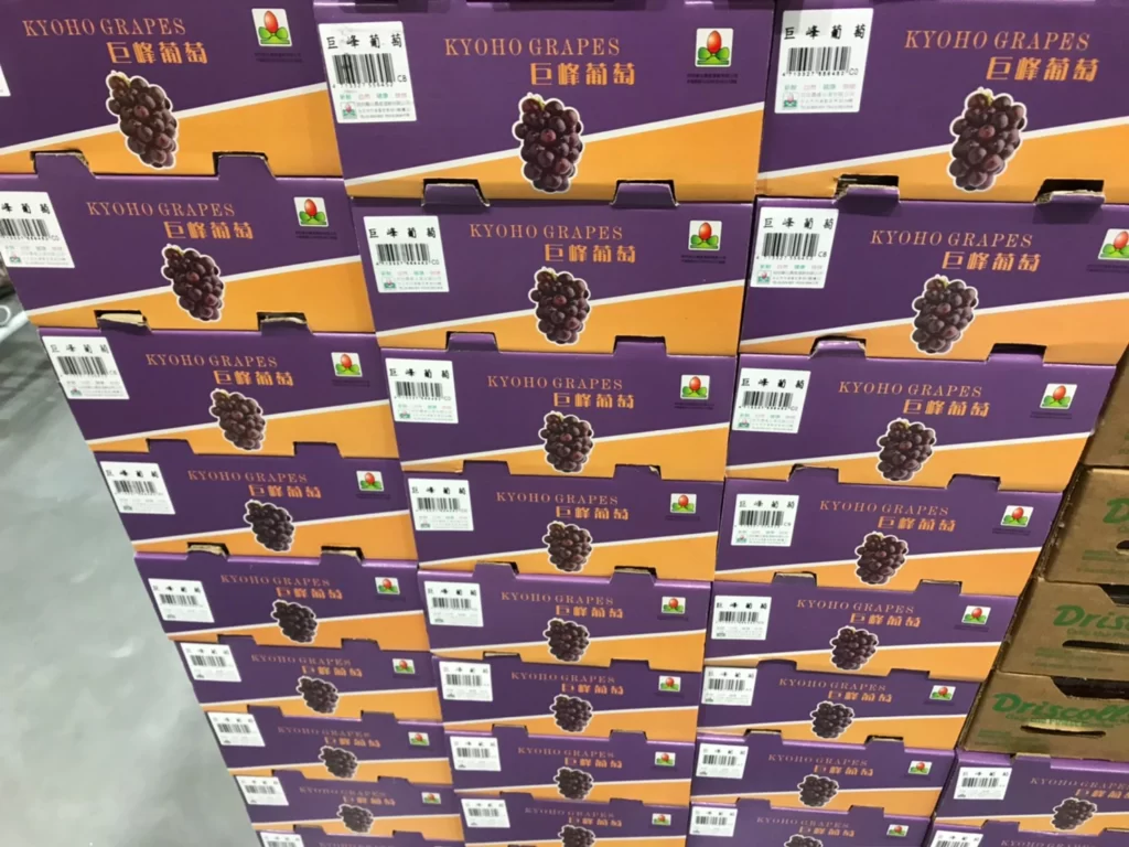 Costco好市多特級巨峰葡萄2公斤