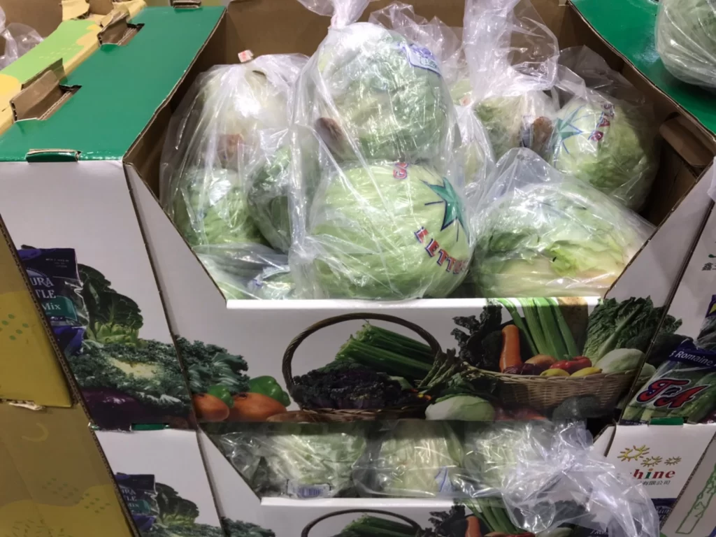 Costco好市多美國萵苣生菜800公克/2入