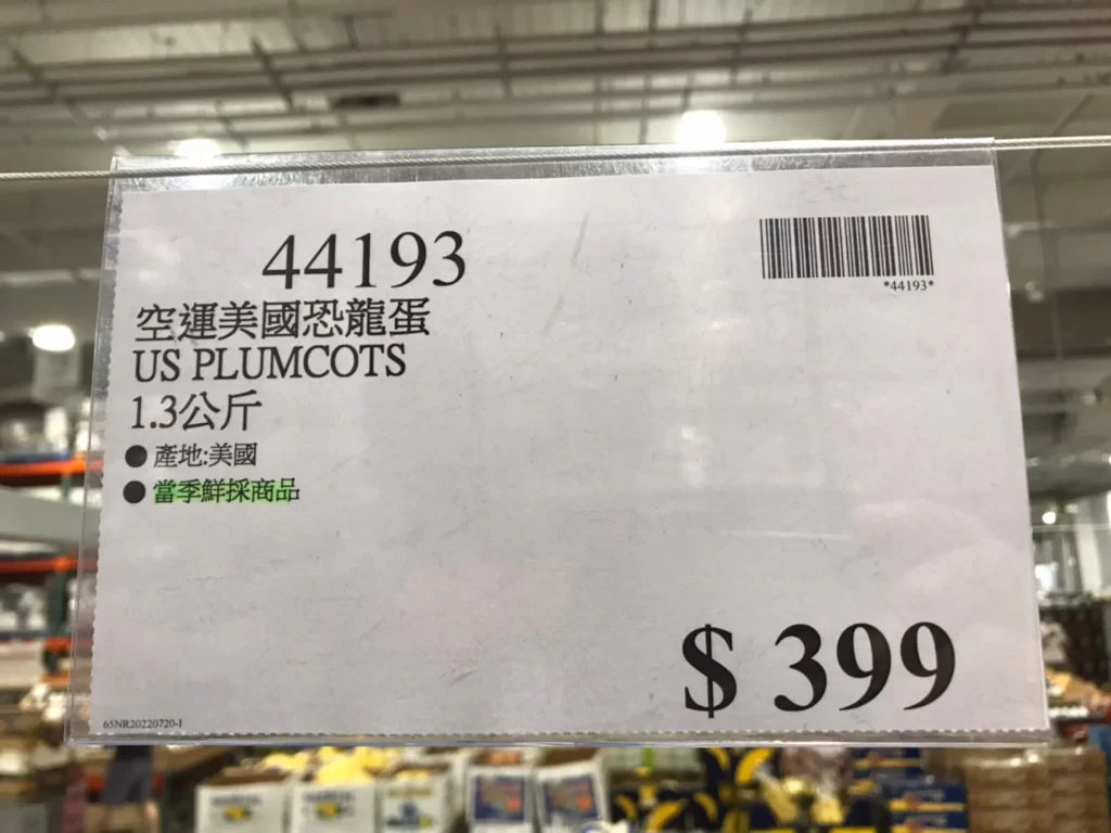 Costco好市多空運美國恐龍蛋1.3公斤