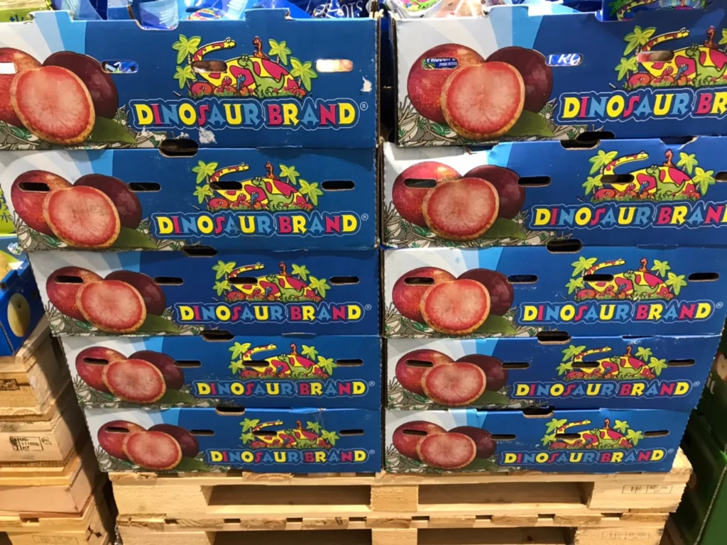 Costco好市多空運美國恐龍蛋1.3公斤