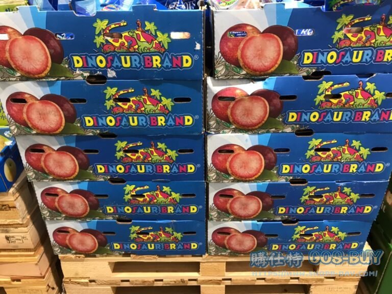 Costco好市多空運美國恐龍蛋1.3公斤