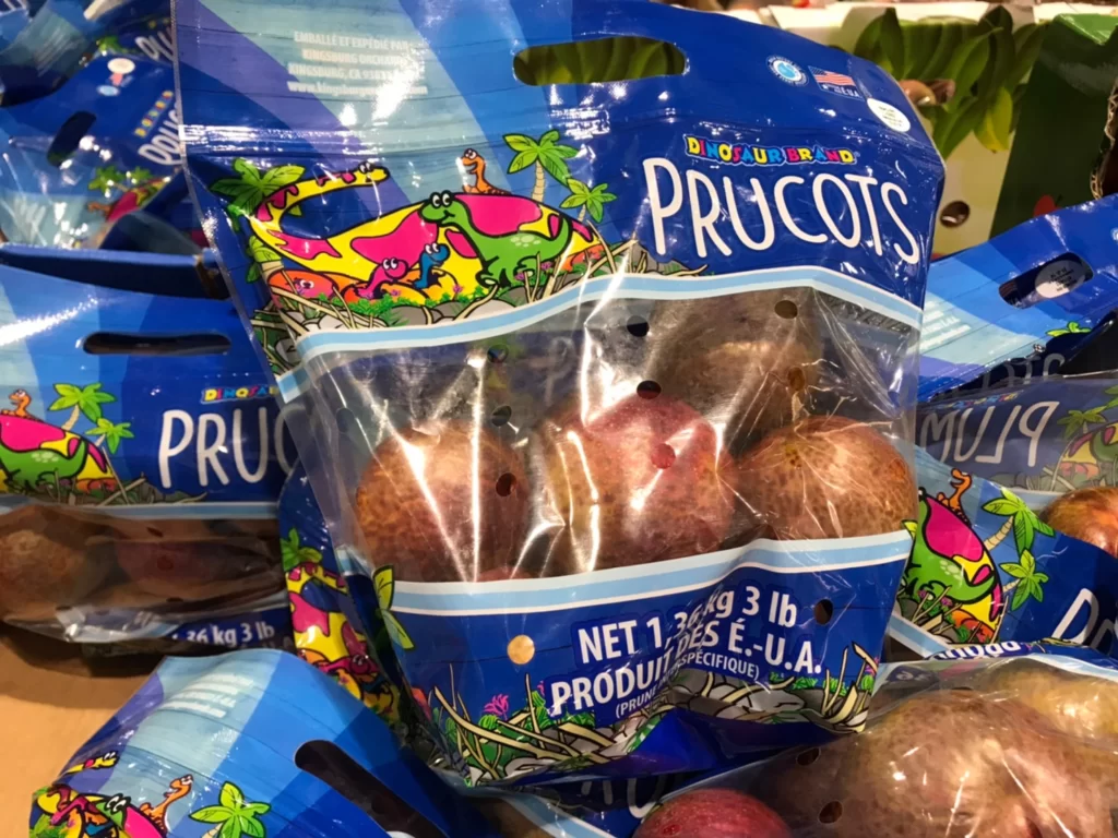 Costco好市多空運美國恐龍蛋1.3公斤