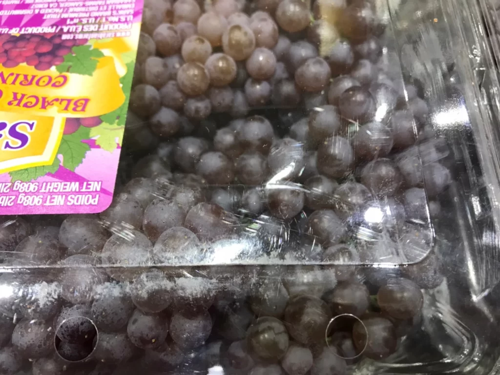 Costco好市多空運美國香檳葡萄907公克