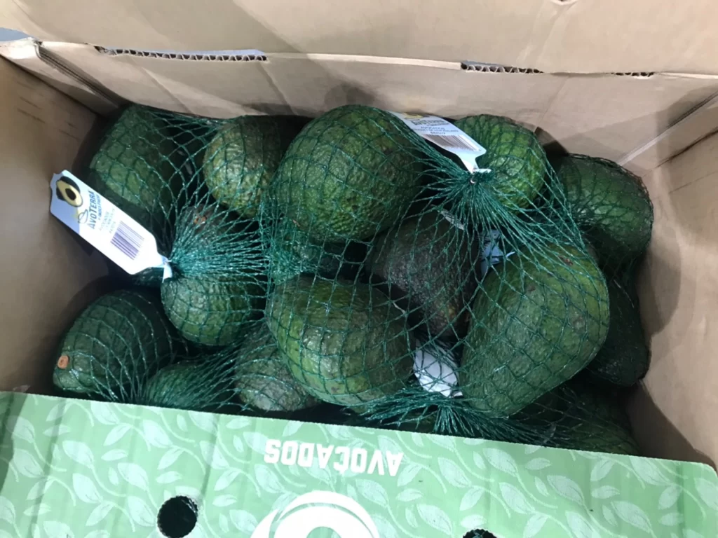 Costco好市多空運紐西蘭酪梨1.3公斤