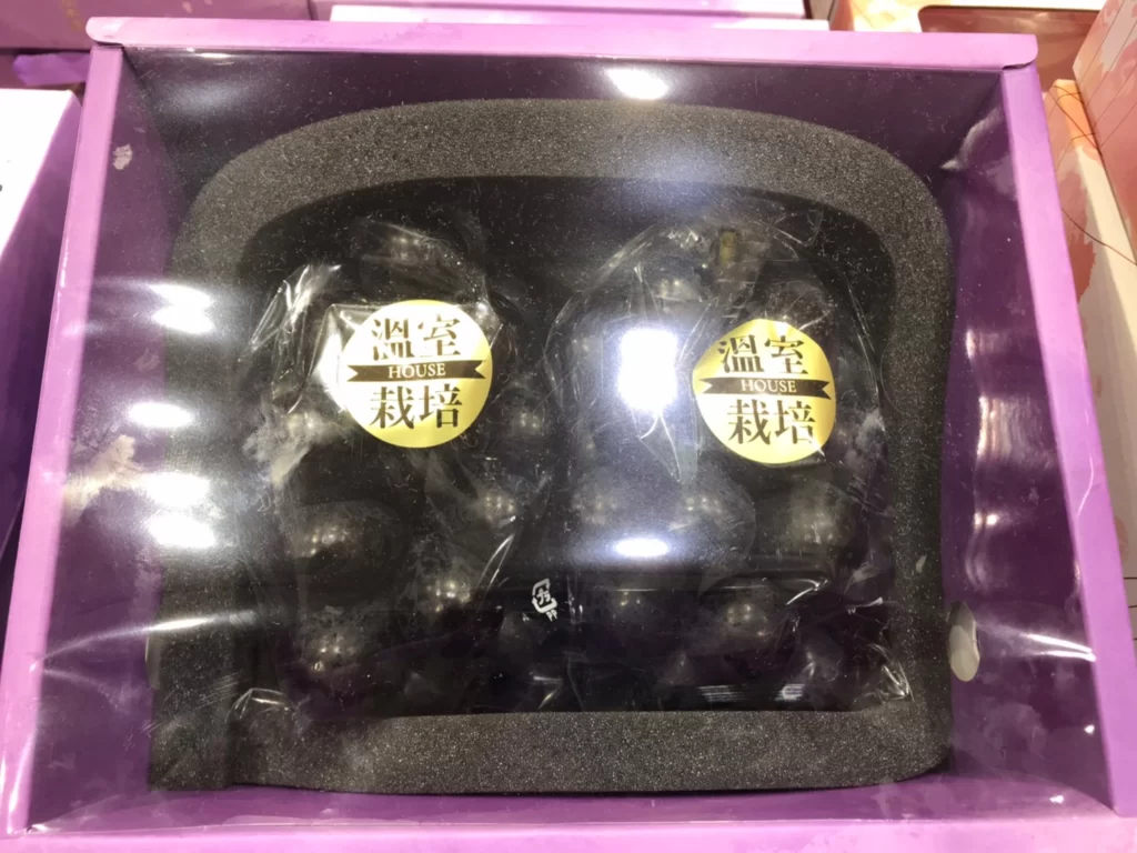 日本溫室帕普魯葡萄禮盒 1.2公斤/2串