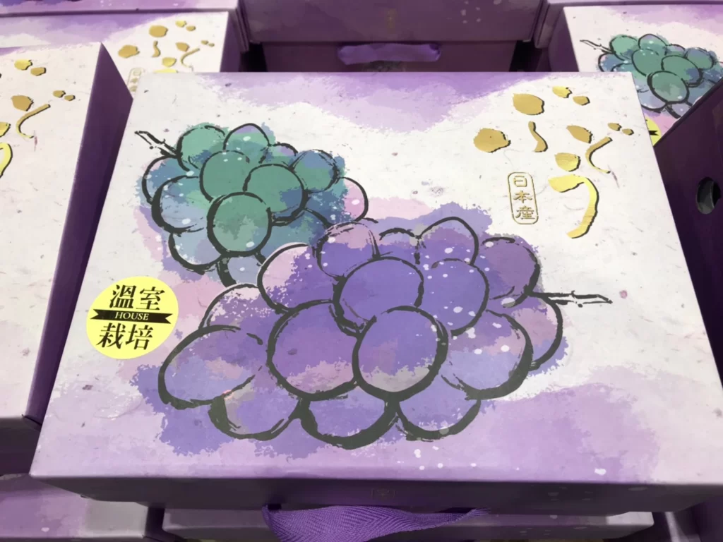 日本溫室帕普魯葡萄禮盒 1.2公斤/2串