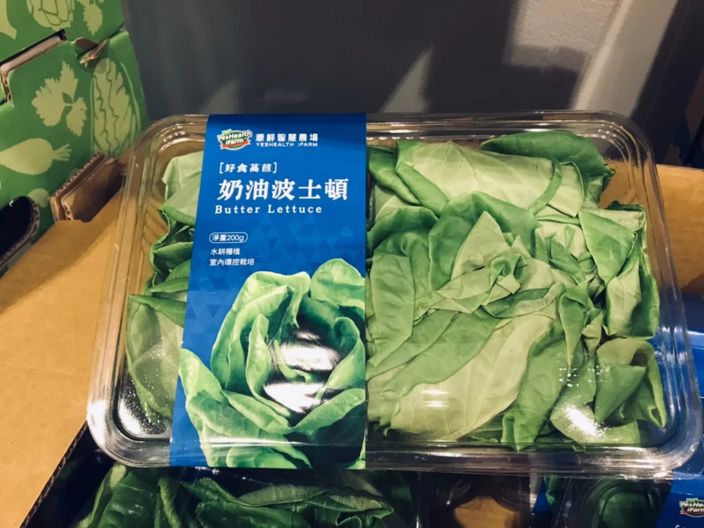 Costco好市多奶油波士頓萵苣200公克