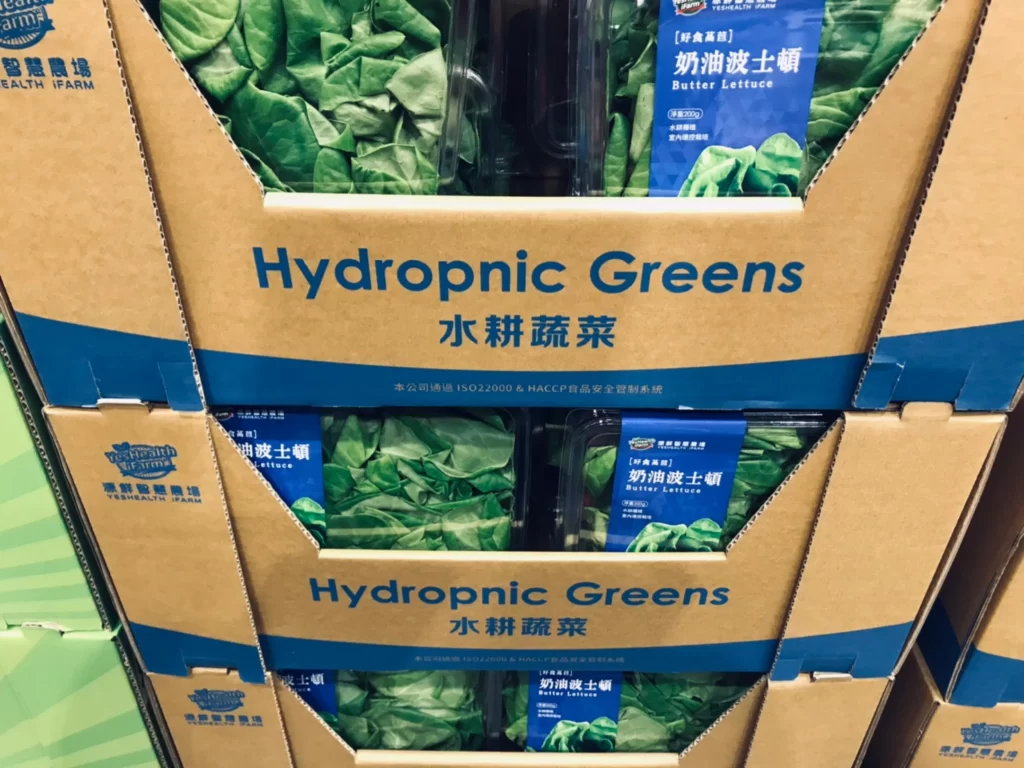 Costco好市多奶油波士頓萵苣200公克