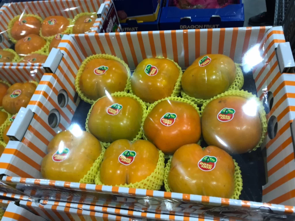 東勢區高山甜柿