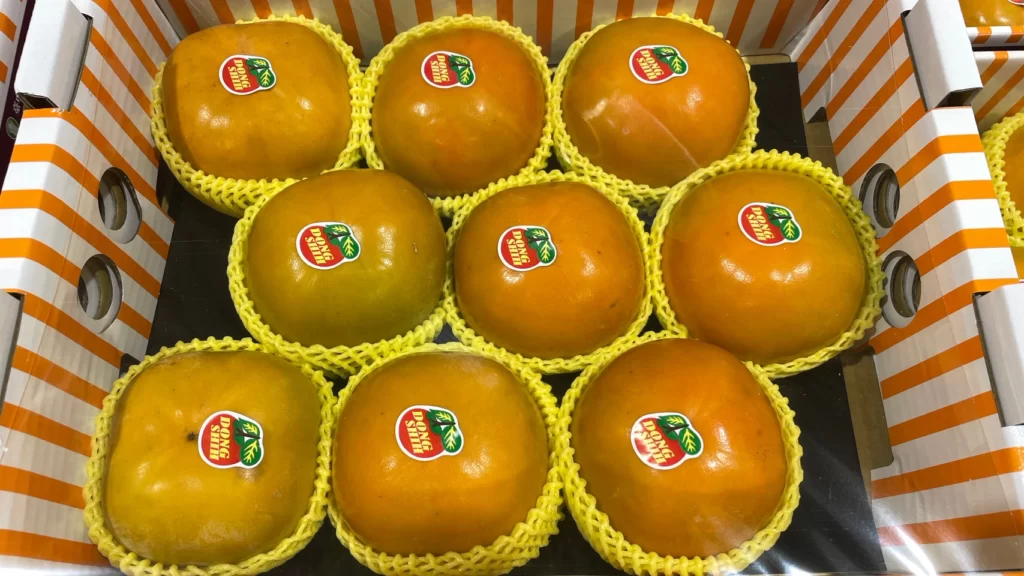 東勢區高山甜柿