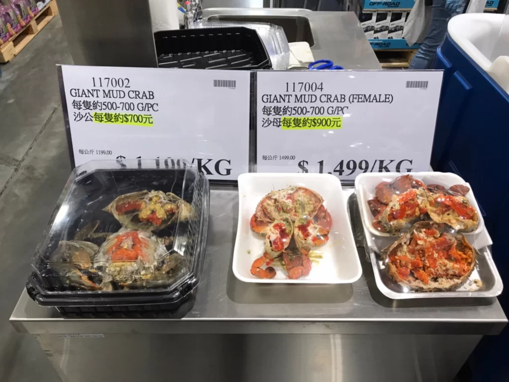 沙公沙母 特展商品 #117004 #117002