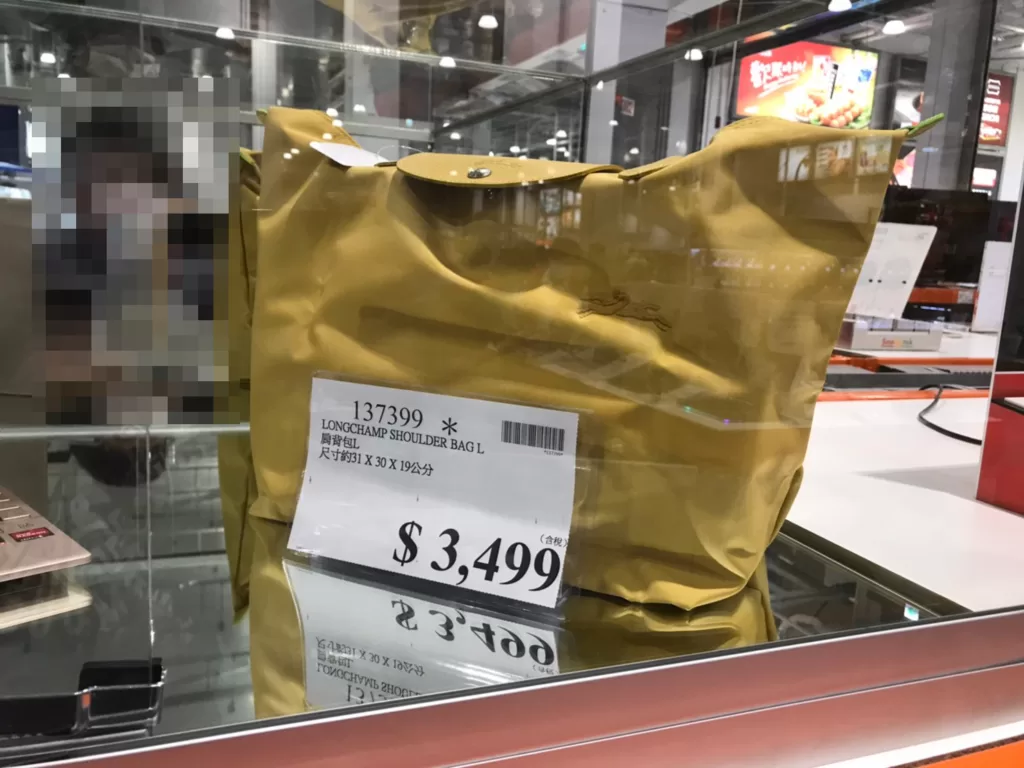 LONGCHAMP SHOULDER BAG L 肩背包L 尺寸約31X30X19公分#137399