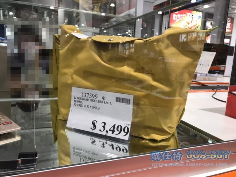 LONGCHAMP SHOULDER BAG L 肩背包L 尺寸約31X30X19公分#137399