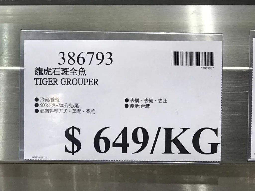 TIGER GROUPER 龍虎石斑金魚#386793
