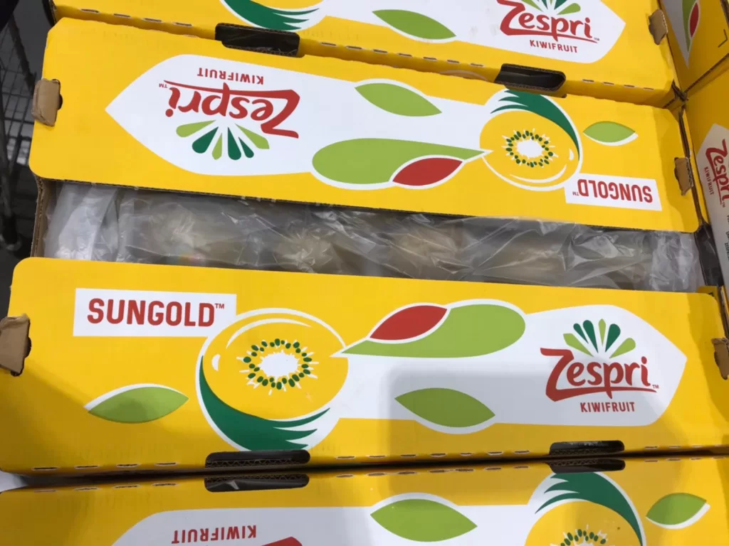 ZESPRI ITALY SUNGOLD KIWI義大利陽光金圓頭25入#664281