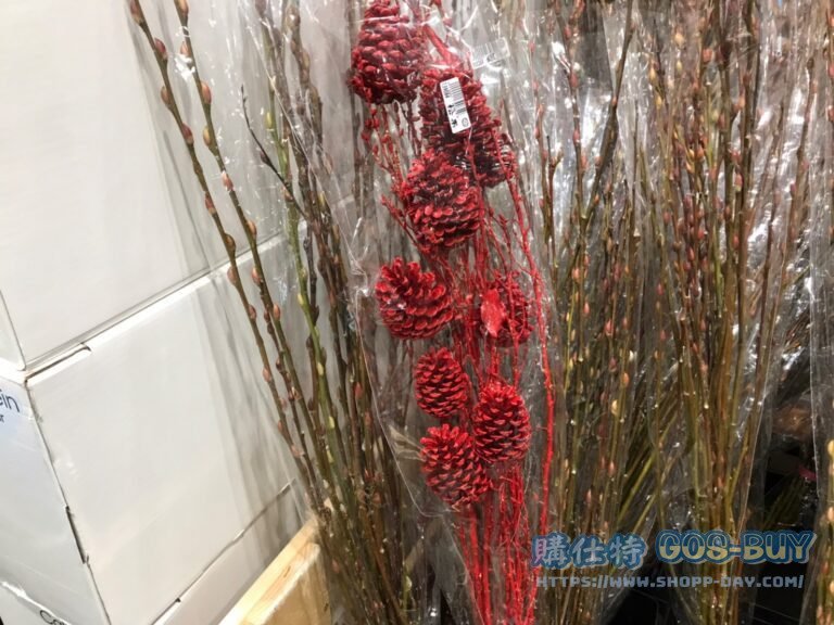 GROWERS BUNCH 單一花束(材) L #139084