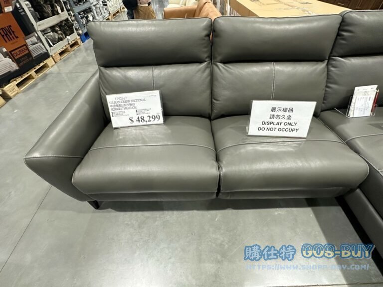 GILMAN CREEK SECTIONAL 牛皮電動L型沙發右寬289深173高103CM#1752617