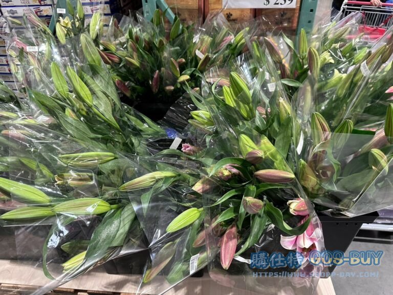 LILY GROWERS BUNCH L 百合花L#139083