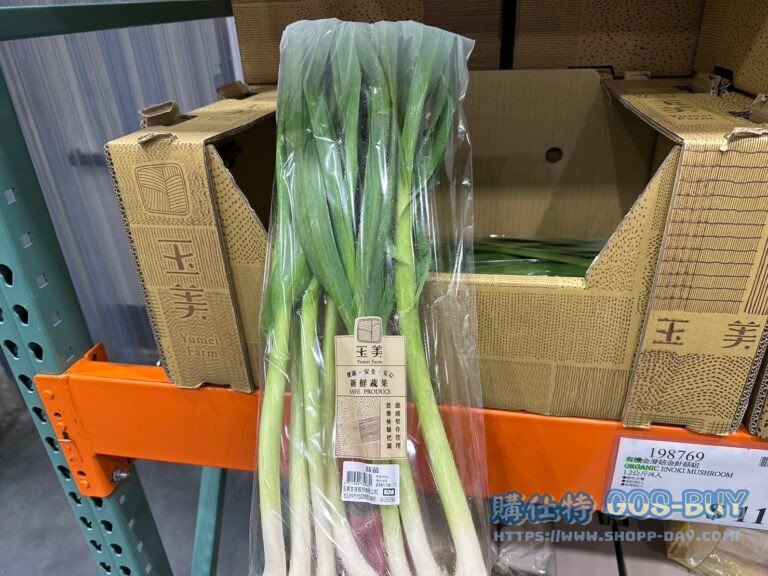 蒜苗 LEEK 600公克#144397