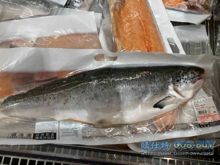 冷凍大鮭魚片 FROZEN SALMON HALF FILLET#285133