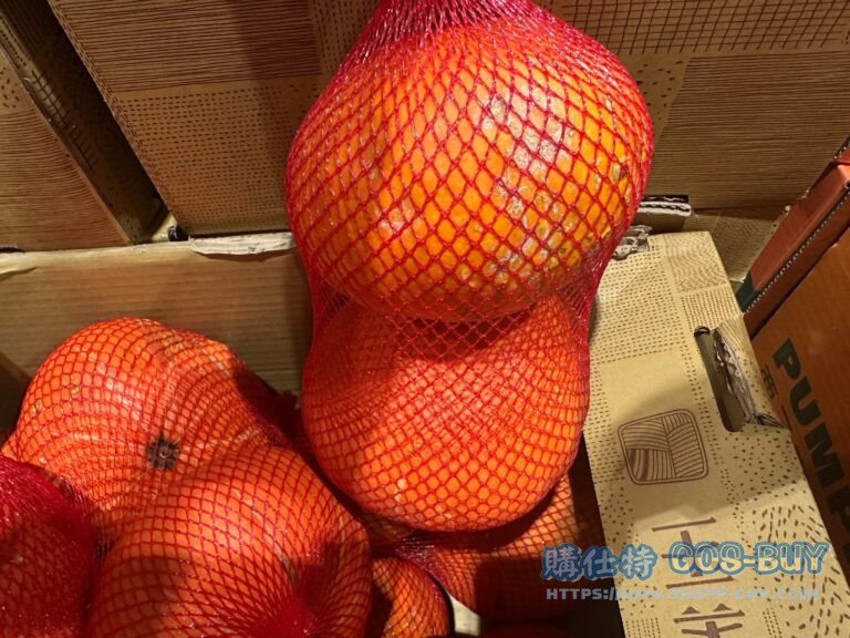 東昇南瓜 PUMPKIN 2.8公斤/2入#175595