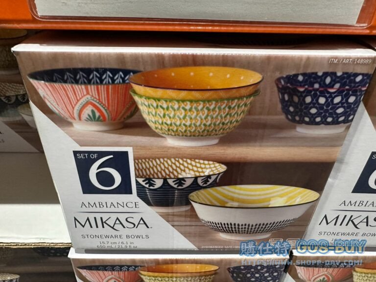 MIKASA DINNER BOWLS 彩繪陶碗6件組#148989