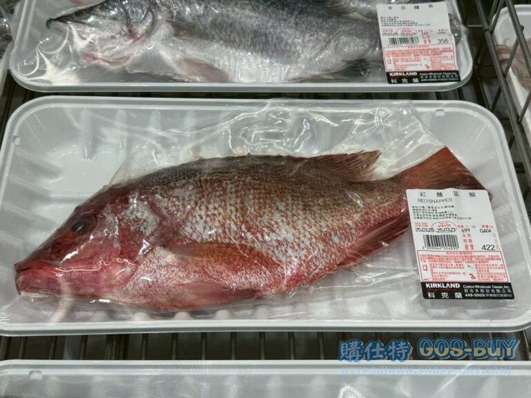 紅鰭苗鯛 RED SNAPPER#239064